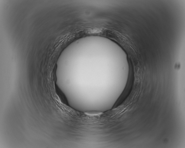 X0000115731441200911121115