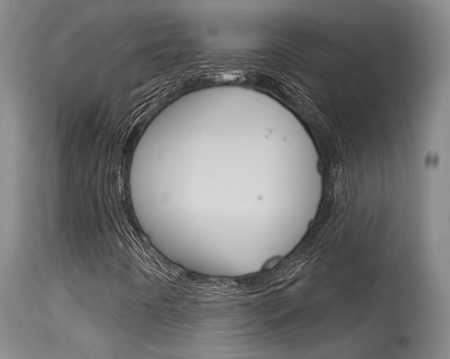 X0000115731442200911121115