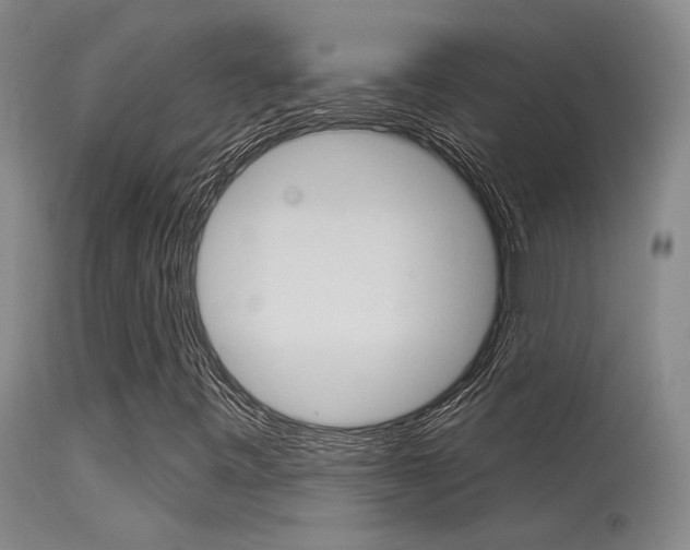 X0000115731443200911121115