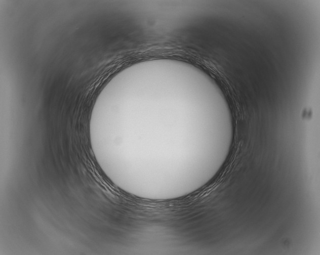 X0000115731444200911121115