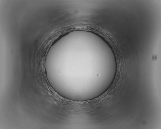 X0000115731445200911121115