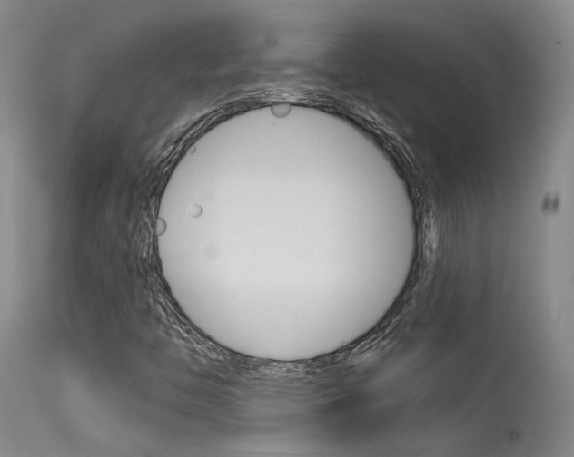 X0000115731446200911121115
