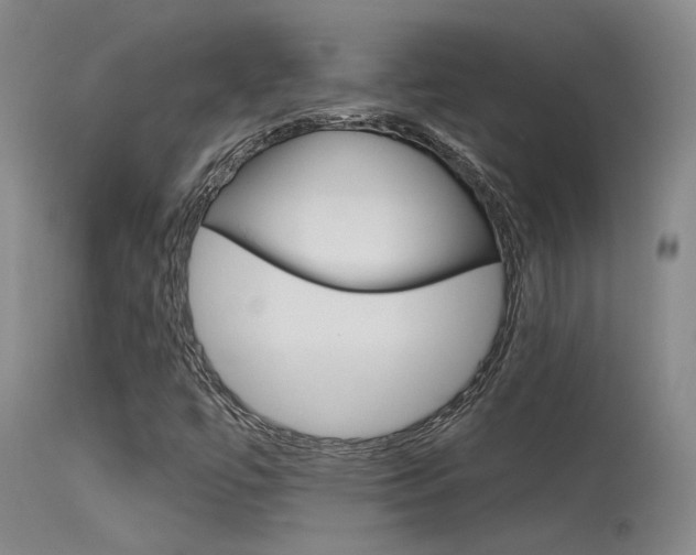 X0000115731447200911121115