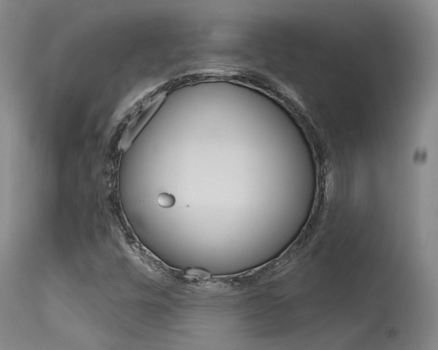 X0000115731448200911121115