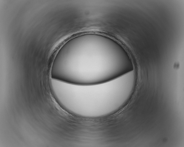 X0000115731452200911121115
