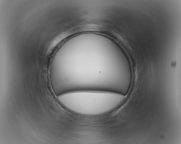 X0000115731453200911121115
