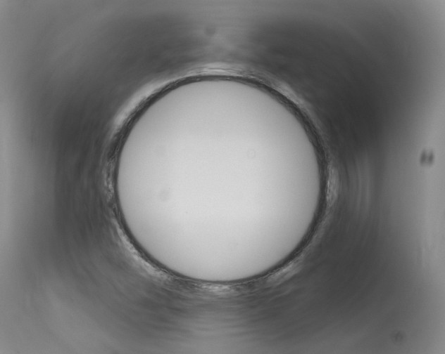 X0000115731454200911121115