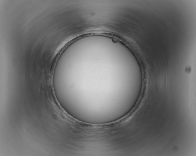 X0000115731457200911121115