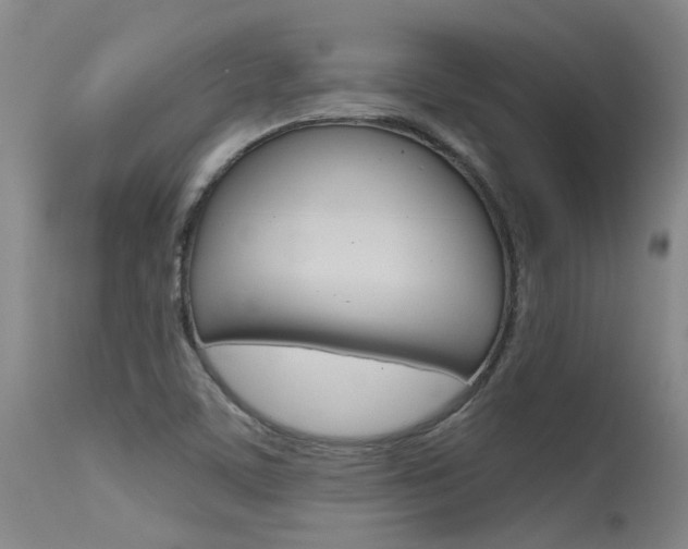X0000115731459200911121115