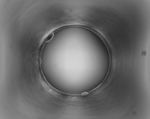 X0000115731460200911121115