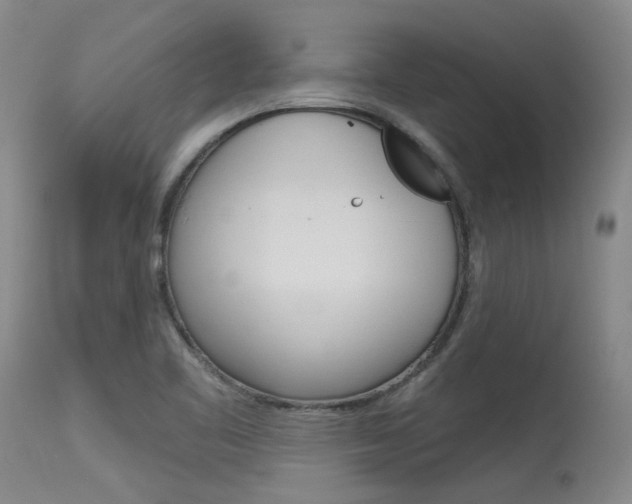 X0000115731461200911121115