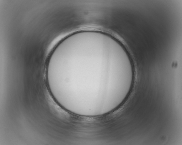 X0000115731462200911121115