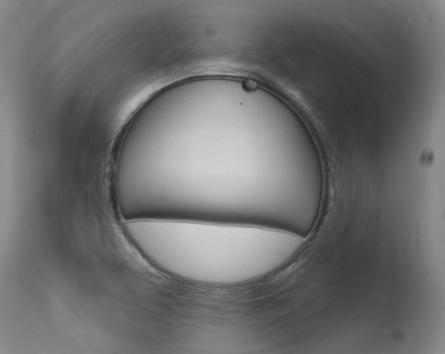 X0000115731463200911121115