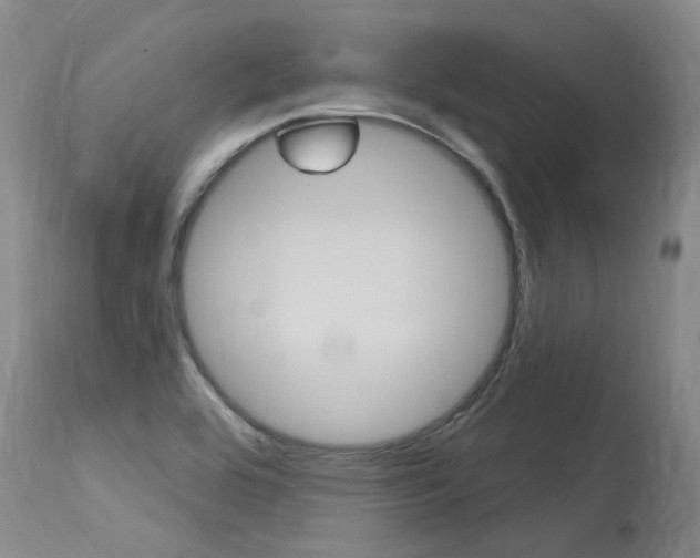 X0000115731464200911121115