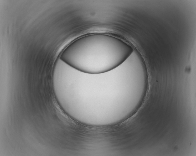 X0000115731465200911121115