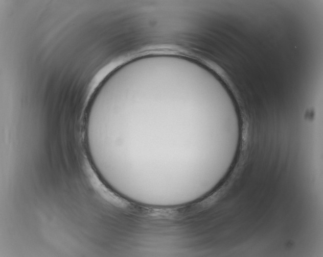 X0000115731466200911121115