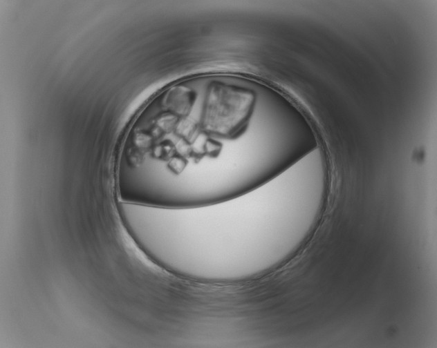 X0000115731468200911121115