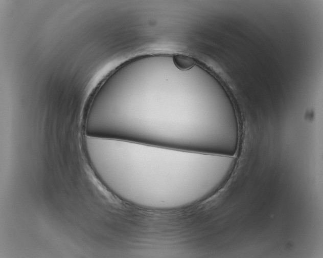 X0000115731469200911121115