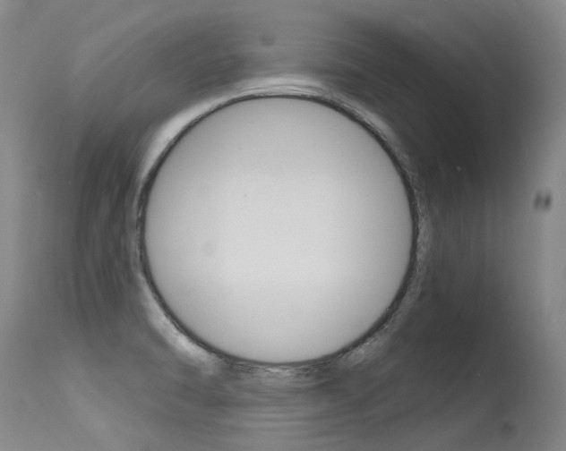 X0000115731470200911121115