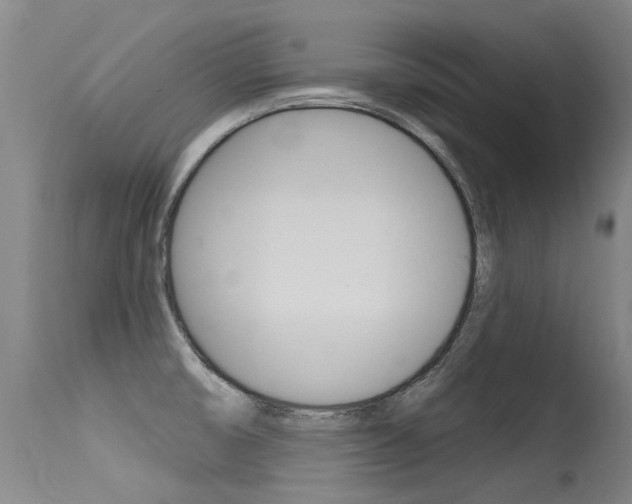 X0000115731474200911121115