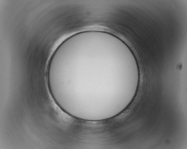 X0000115731478200911121115