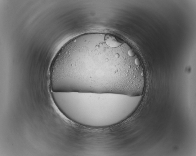 X0000115731479200911121115