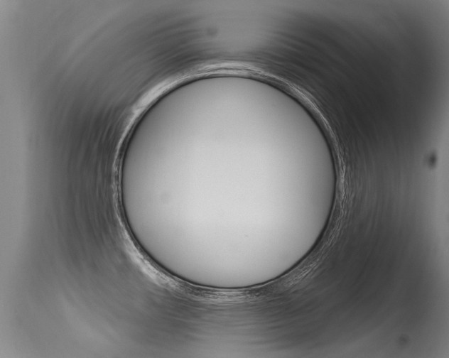 X0000115731482200911121115