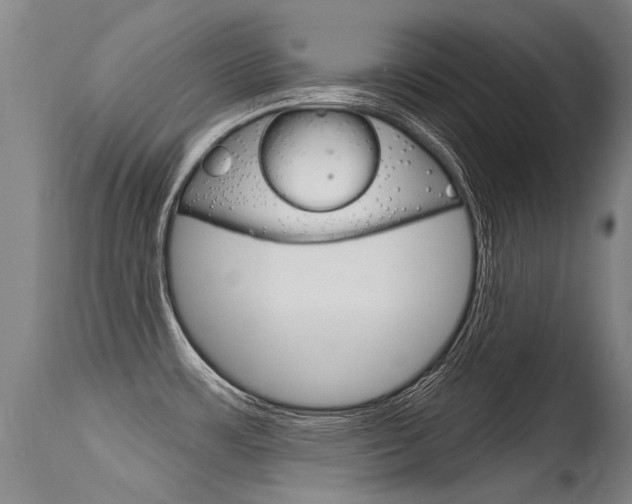 X0000115731483200911121115