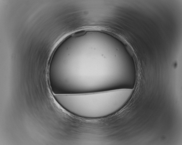 X0000115731484200911121115