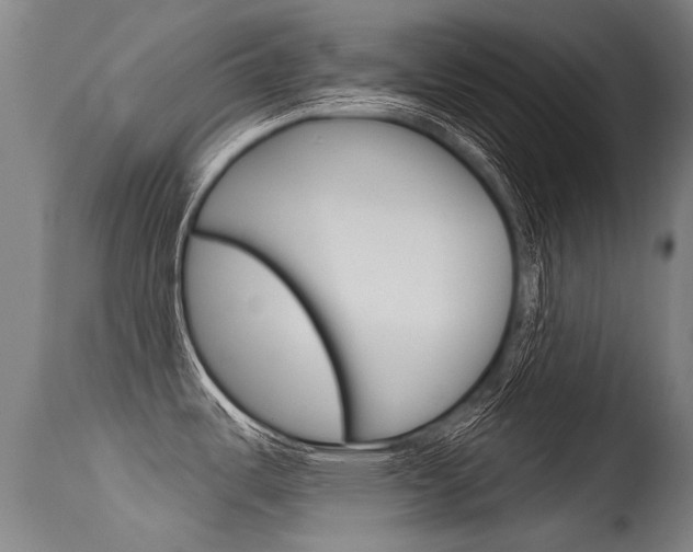 X0000115731487200911121115