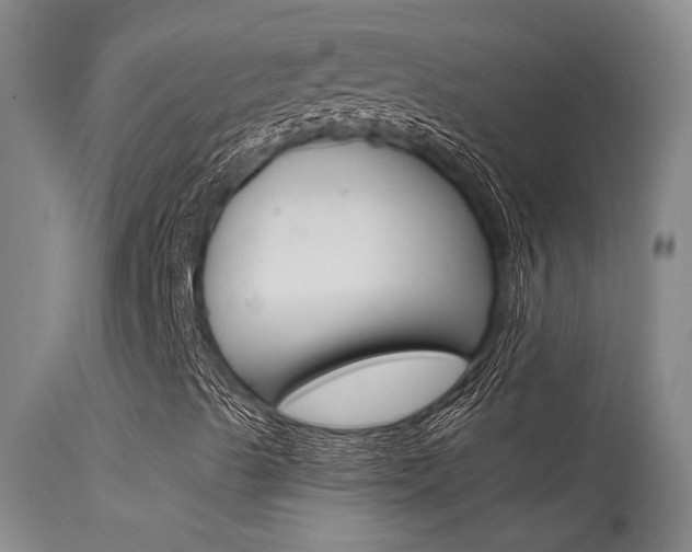 X0000115731489200911121114