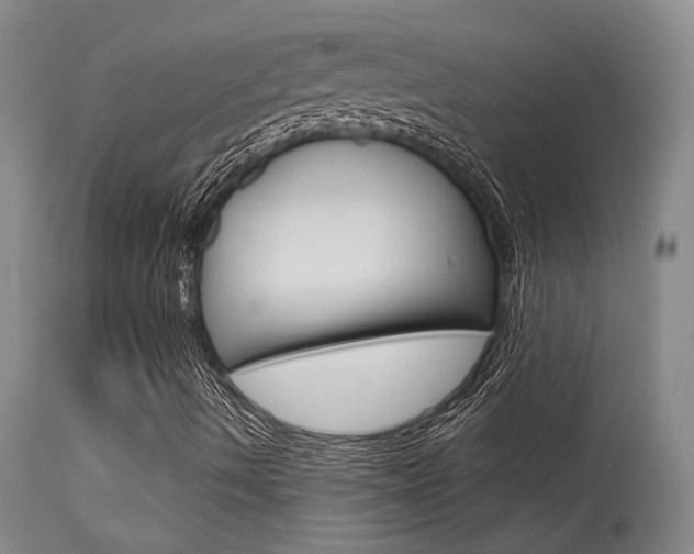 X0000115731490200911121114