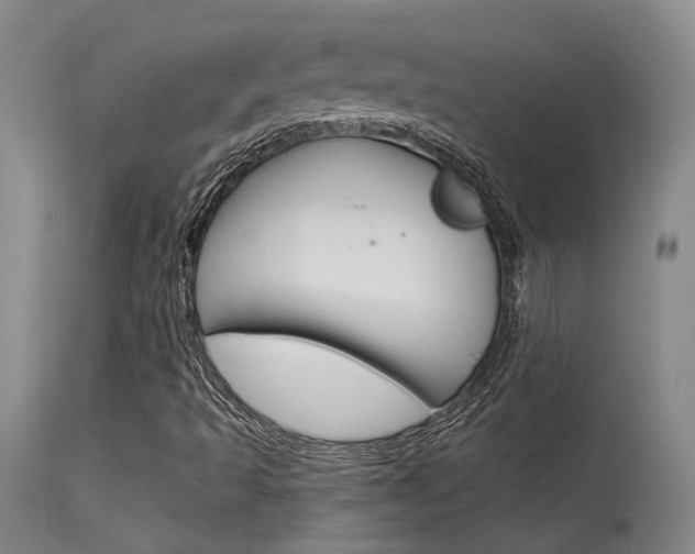 X0000115731493200911121114