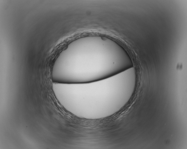 X0000115731494200911121114