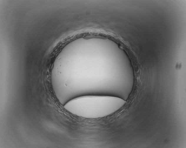 X0000115731495200911121114