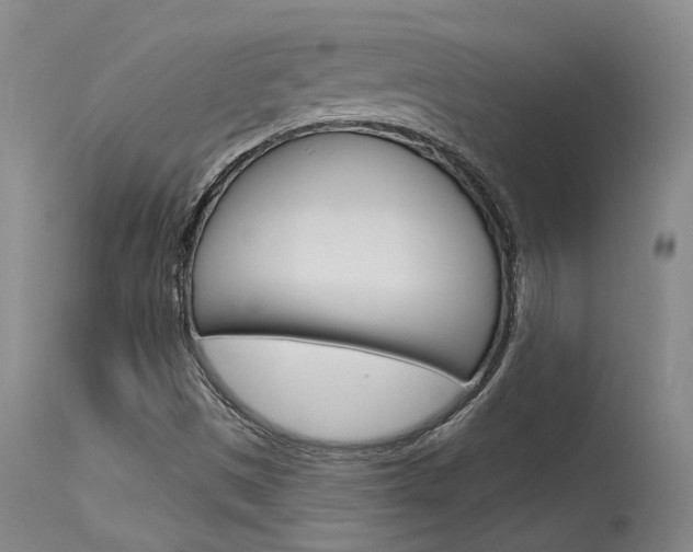 X0000115731497200911121114