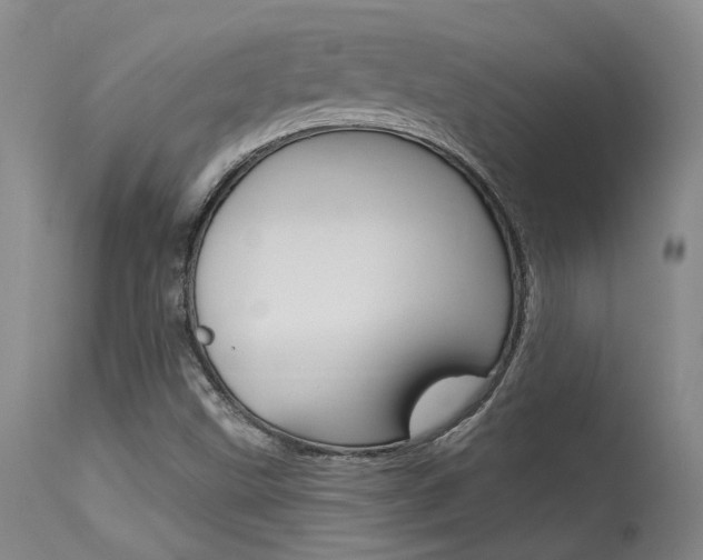 X0000115731499200911121114