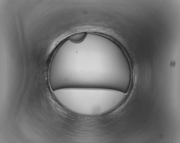 X0000115731501200911121114