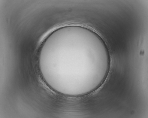 X0000115731502200911121114