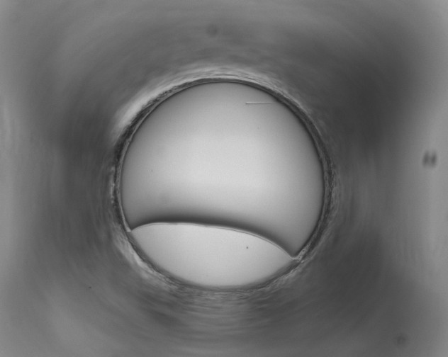 X0000115731503200911121114