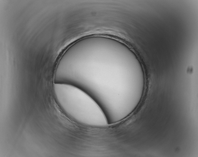 X0000115731505200911121114
