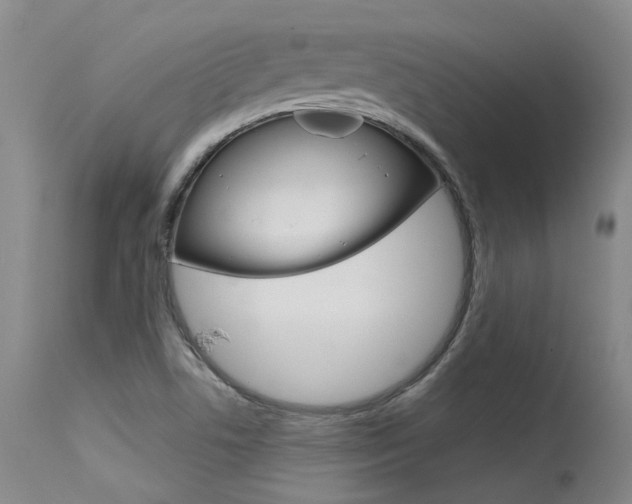 X0000115731506200911121114