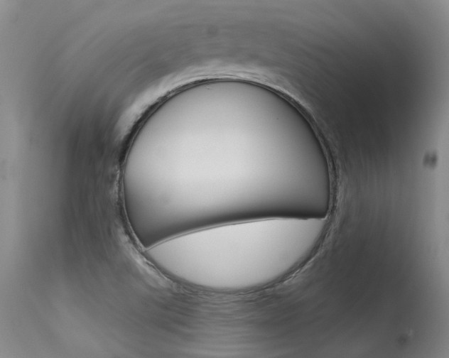 X0000115731507200911121114