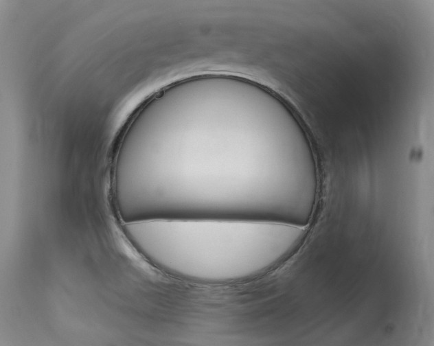 X0000115731511200911121114
