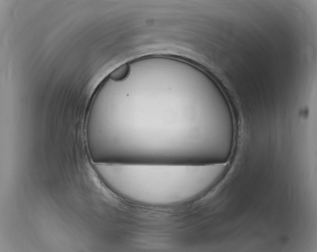 X0000115731513200911121114