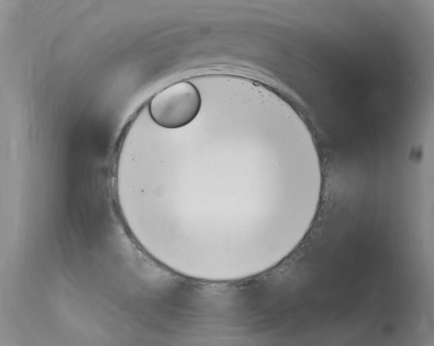 X0000115731514200911121114