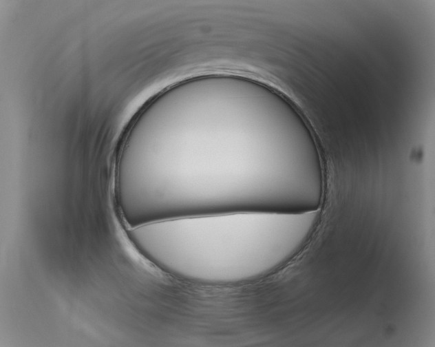 X0000115731515200911121114