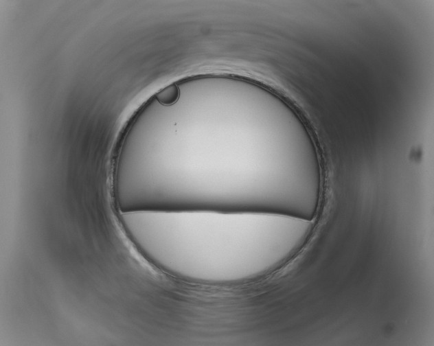 X0000115731517200911121114