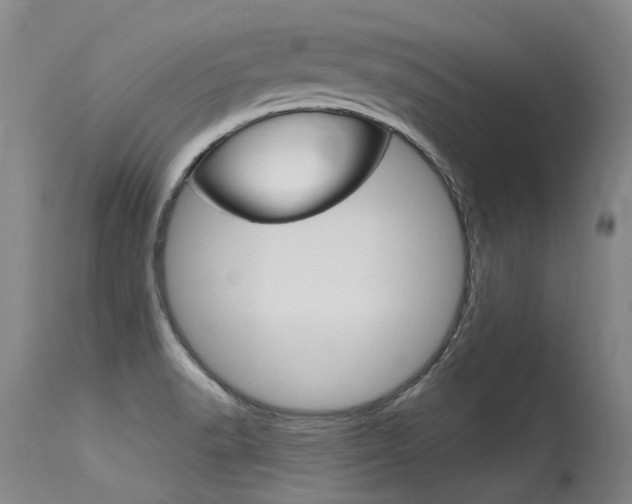 X0000115731518200911121114