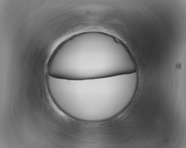 X0000115731519200911121114